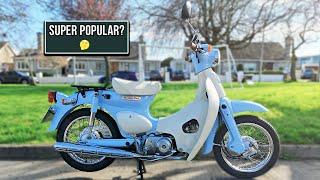 Honda Little Cub 50 - 2005 Honda little cub ▶️ THE MOST POPULAR motorcycle 2007