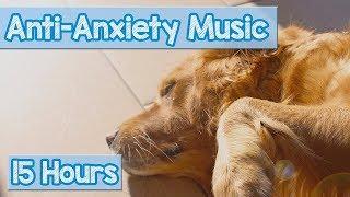 Calming Music for Puppies with Anxiety! Soothing Lullabies for Anxious and Stressed Dogs! (Tested)