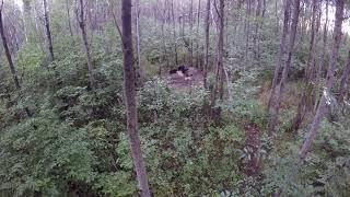 2016 Bear Hunt Part 3