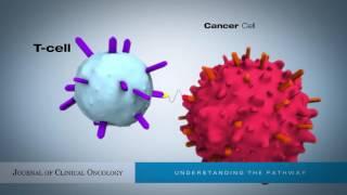 Bispecific T-Cell Engagers (BiTEs) as Treatment of B-Cell Lymphoma