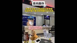 归还手机反被敲诈200#有趣 #故事 #貓 #猫猫meme小剧场 #猫meme #内容过于真实 #猫meme小剧场 #猫meme剧场 #猫迷因#tiktok #喵不可言 #shorts