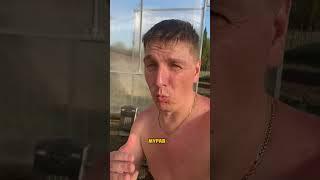 Первый арбуз в этом сезоне #гиганты_АМИНОСИЛ_2025 #БуйскиеУдобрения #средства_защиты_greenbelt