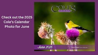 See The Photo For June In The Cole's 2025 Calendar.