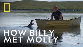 The Otter That Became Part of a Family | Billy & Molly: An Otter Love Story | National Geographic UK