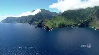 Molokai & Lanai Aerials