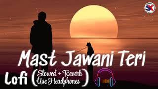 Mast Jawani Teri - Lofi ( Slowed + Reverb ) @music.kumars