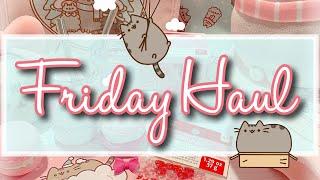 1/17/25 Friday HAUL ~ Michael’s, Pusheen subscription box, and project shares!