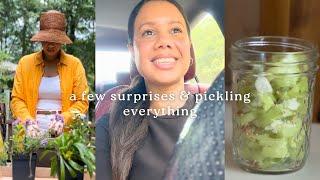 AN EPIC DAY OF SURPRISES - Homemade Pickles, Secret Garden Finds & Hermes Kelly Belt Dupe Unboxing!