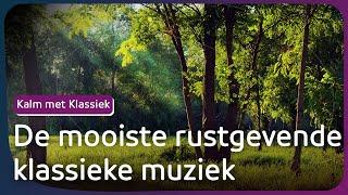 Kalm met Klassiek: de mooiste klassieke muziek om bij te ontspannen | NPO Klassiek