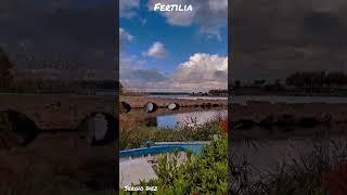 Fertilia, laguna del Calich #short #shortsvideo #shorts