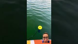 CHEAPEST Amazon FISH FINDER! #lucky #sonar #fishing #review #review #firsttime #shorts #unboxing