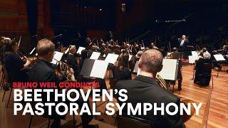 BEETHOVEN: 6th Symphony 'Pastoral', 1st Movement - on Original Instruments