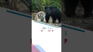 Ranipur Tiger Reserve of UP | Fourth Tiger Reserve of UP #shorts