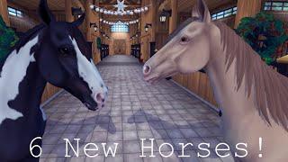 Star Stable Shopping Spree | 6 New Horses +  Reviewing the Tennesse Walkers