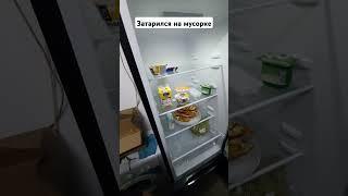 Затарился на мусорке едой продукты полный холодильник еды бесплатно без СМС регистрации