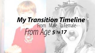 MtF Transgender Timeline  Hannah Phillips Real 