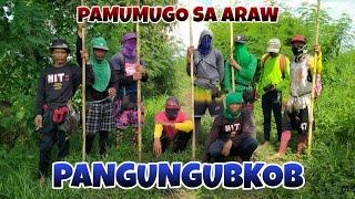 PAMUMUGO PART I PANGUNGUBKOB BUHAY BUKID JRTV