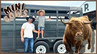 Little Cowboy Brings Home Mini Cow! PANDAROSA RANCH/MINIATURE ANIMALS/LIVESTOCK AUCTION/FARM KIDS