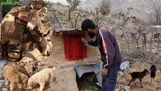  iran nomadic village life : Care and maintenance of animals 