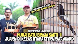 CITRA RAYA AWARD : WOW  !! MURAI BATU BRAJASAKTI JUARA |KUPAS TUNTAS BONGKAR RAHASIA LOMBA