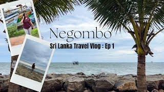 Sri Lanka Travel Vlog | Ep 1 - A day in Negombo | Churches, Lagoon, Vibes, Cats and Beaches