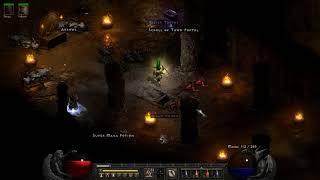 Diablo 2 Resurrected Java zon Pindleskin & Nihlathak