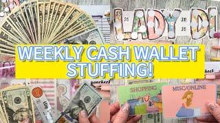 WEEKLY CASH WALLET STUFFING! Solo. No FarmBoy. Cash envelope budgeting and saving