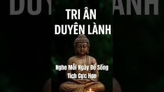 Tri Ân Duyên Lành Trong Cuộc Sống ( Nghe Để Sống Tích Cực Hơn Mỗi Ngày ) #phatgiao #daophat