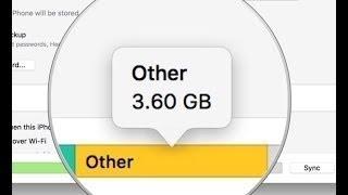 HOW TO DELETE OTHER STORAGE SPACE ON IPHONE IPAD IOS - BEST AND SAFEST WAY TO DELETE GET SPACE BACK