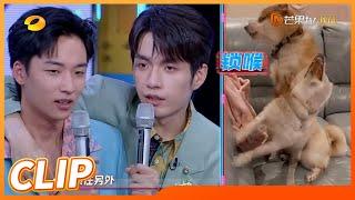 【抢先看】太可爱了！张颜齐吴泽林模仿柴犬表情包！《天天向上》Day Day Up 20220529期丨Mango TV