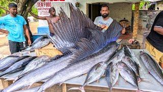 Wow Amazing Cutting Enormous Sailfishes in Sri Lanka