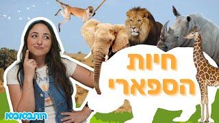 רותמאמא - חיות הספארי | תכנים לילדים | חיות לילדים