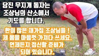 당진  무지개 동자는 조상님의 산소에서 기도를 합니다. ️ 010 4659 8019 각종 굿 치성 터 고사 전문 접신 잘 되는 무당 영검한 무당
