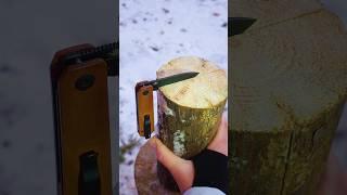 Survival skills: Perfect knife lifehack #bushcraft #lifehacks #camping