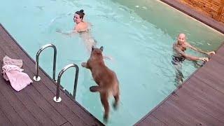 Epic jump! Puma Messi jumped into the pool for Masha!