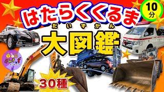 【乗り物集合！】はたらくくるま大図鑑30種類の働く車が大集合！救急車やパトカーブルドーザーなどのりものの名前を覚えよう◎【子供向け乗り物アニメ】