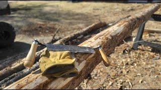 How Sustainable Logging Can Save Our Forests