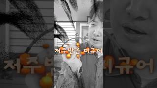 저주받은 레고 피규어?