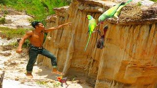 A young parrot fell from a nest next to a stone wall and was rescued by a man