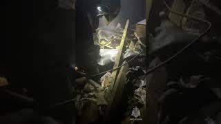 Минута тишины помогла сотрудникам МЧС России спасти 4 котят на пожаре