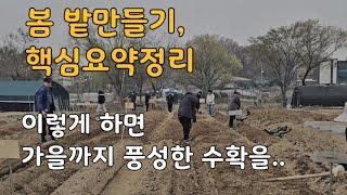 봄 주말농장 밭만들기 핵심요약 총정리/이렇게 하시면 가을까지 풍성해집니다