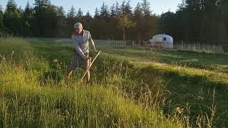 Sunrise haymaking