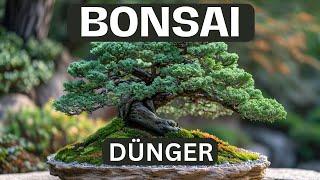 Bonsai Dünger Spezialdünger für Bonsai Hochwertiger Bonsai-Dünger