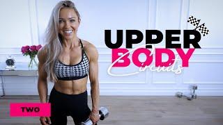 UPPER BODY WORKOUT with Dumbbells - Muscle Building | Circuit Series Day 2