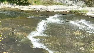 Salmon Run at Port Hope - September 24, 2024