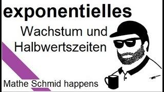 Halbwertszeit (bei e Funktionen) | Mathematik beim Mathe Schmid