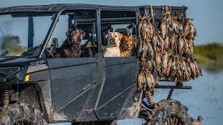 100 Teal in an Hour on Opening Day!! (Incredible Texas Duck Hunting)