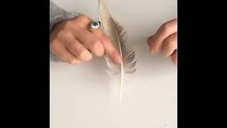 ¿Cómo fabricar una pluma de escribir con una pluma de pájaro?