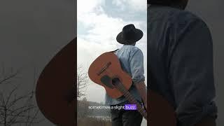 Acoustic Guitar Review (2023) Under $100 Mind Blown 