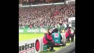 Gebre Selassie GOAL/ Werder Bremen 1-1 Hoffenhaim